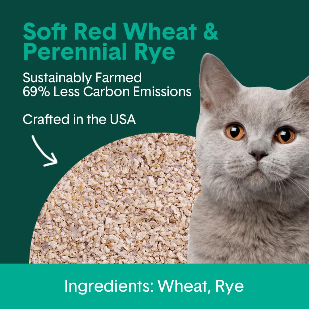 Plant-Based Clumping Cat Litter S109