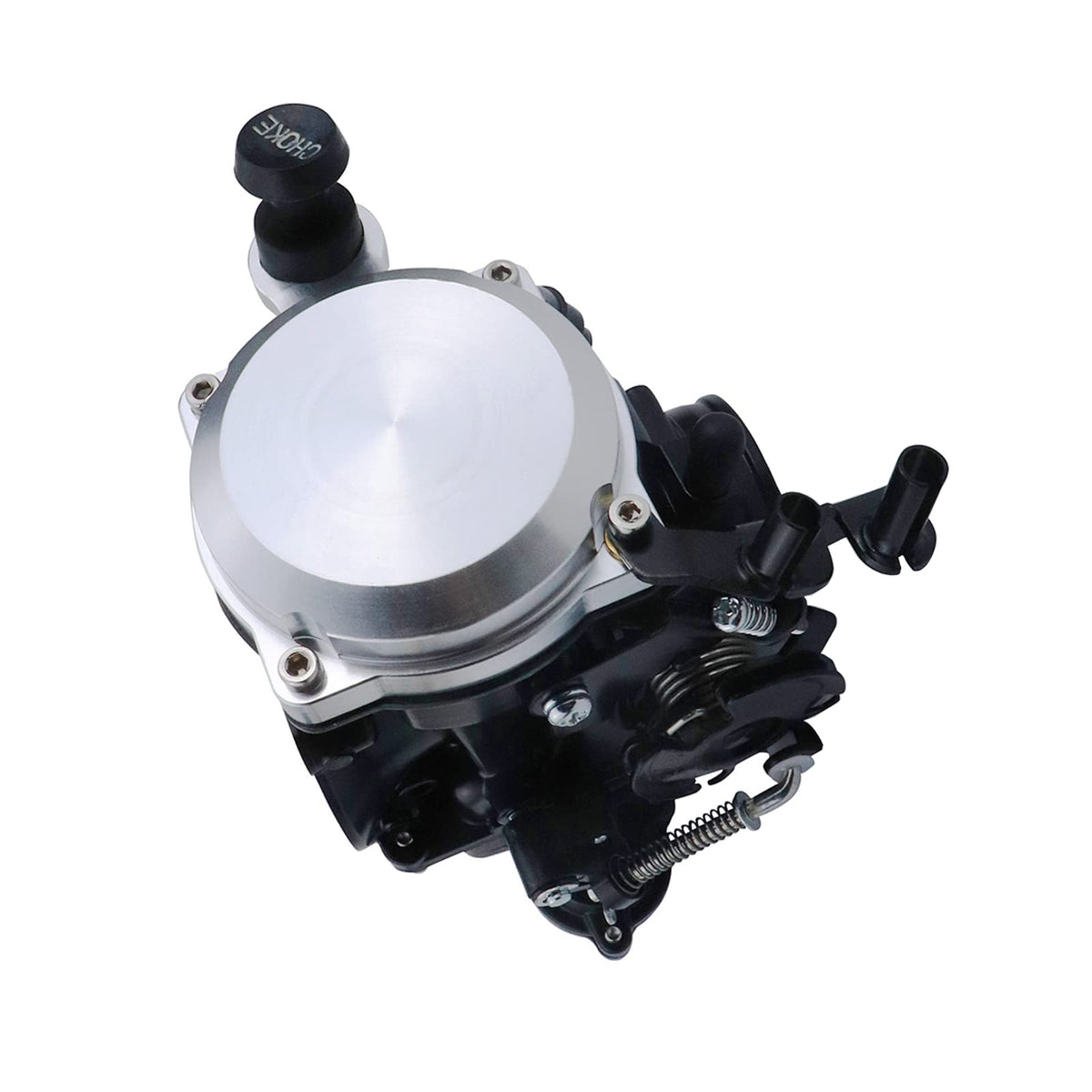 Carburetor with Choke Cable N601