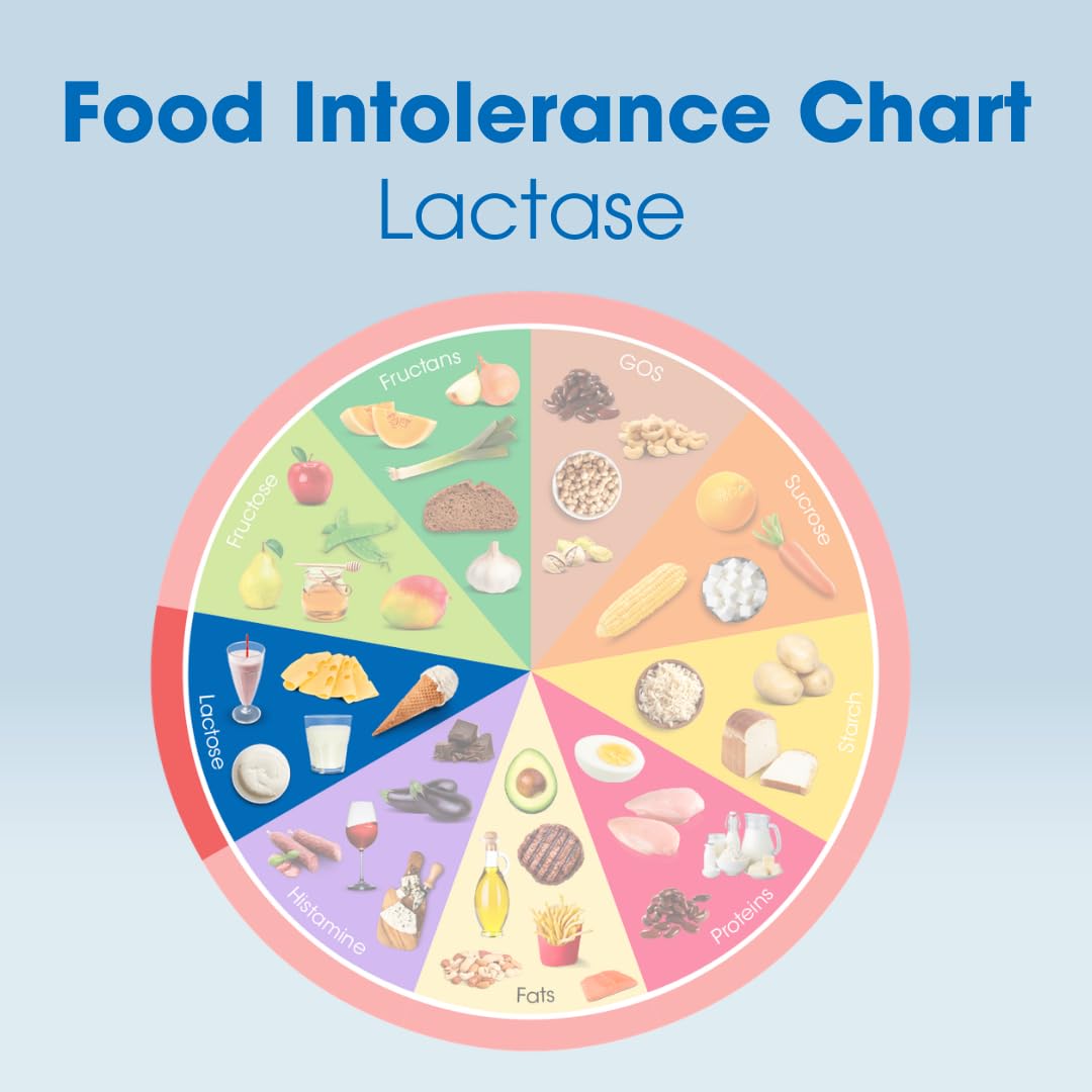 Lactase Digestive Enzymes 100 Tablet E3043