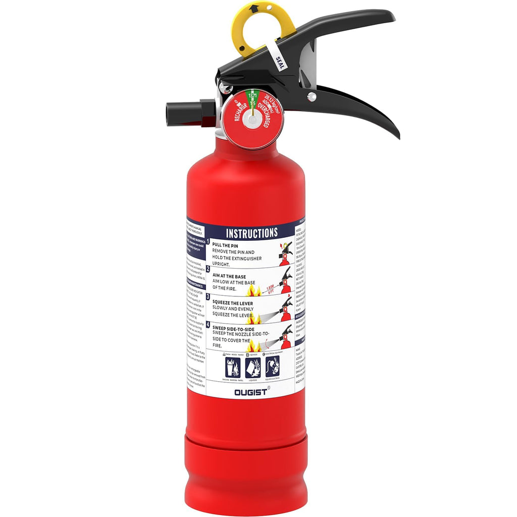 2.5 lb Dry Chemical Fire Extinguisher P23499