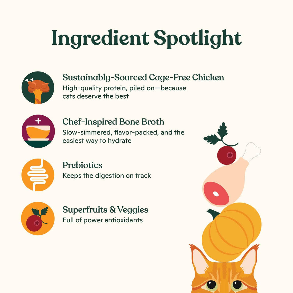 High Protein Grain-Friendly Chicken & Pumpkin Dry Cat Food J19477