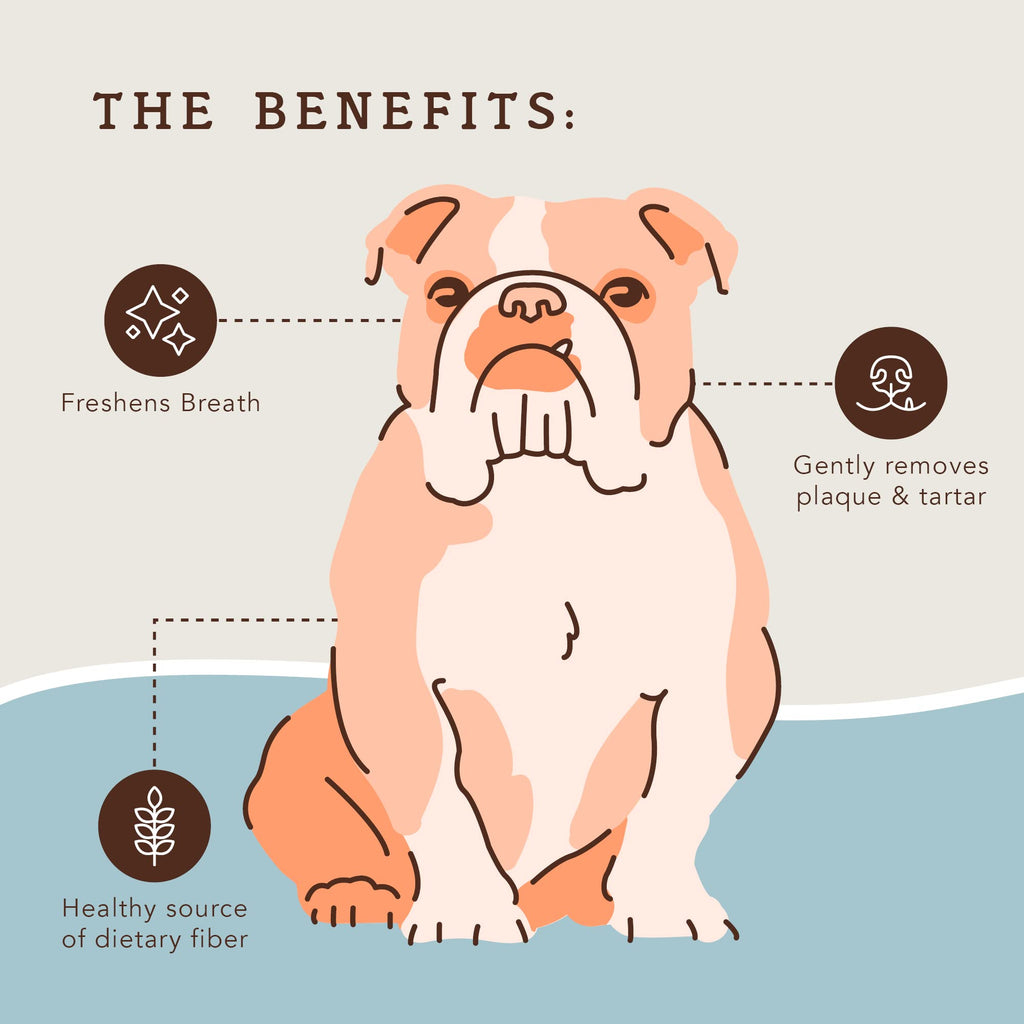 Dental Chews for Dogs 18 Count W508882