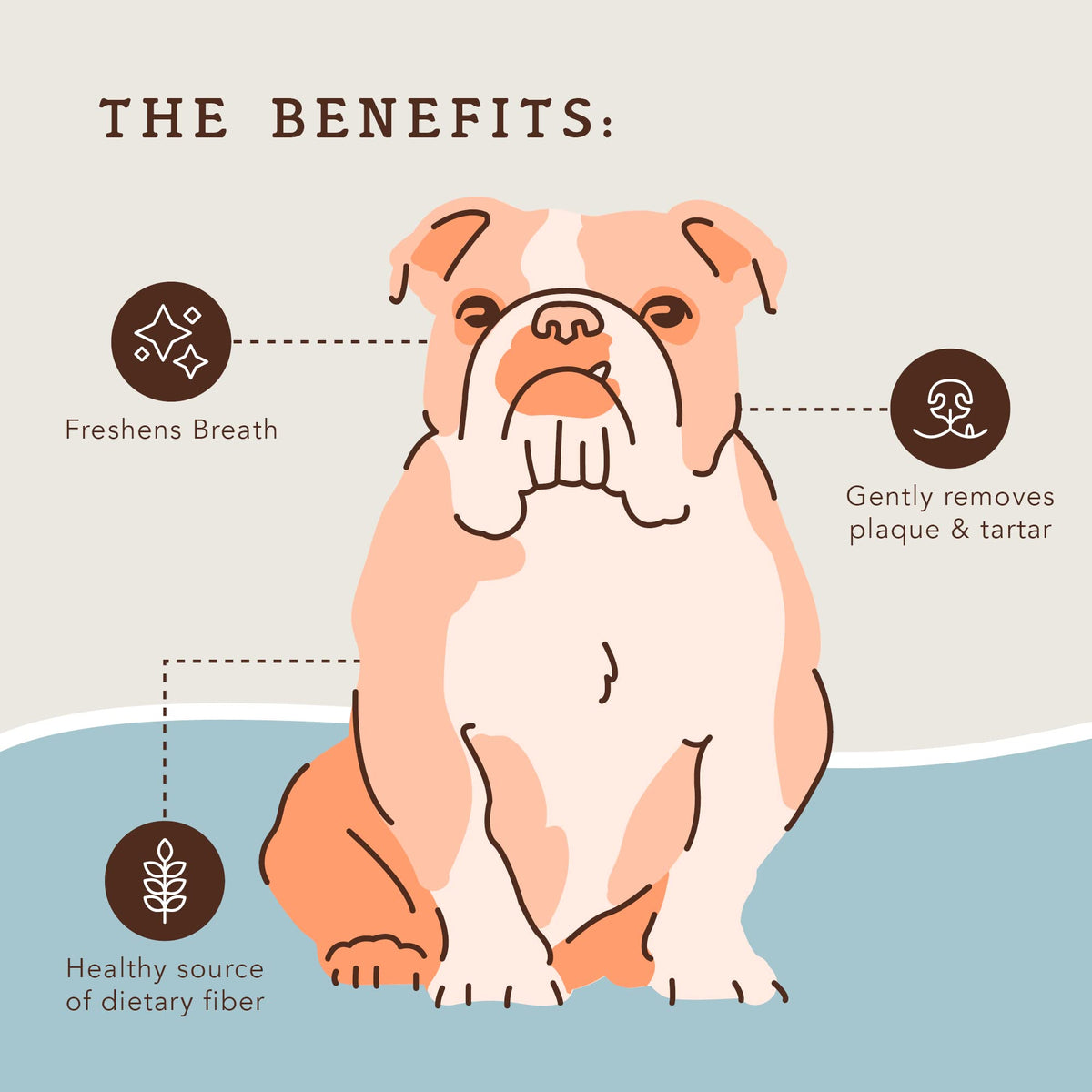 Dental Chews for Dogs 18 Count W508882