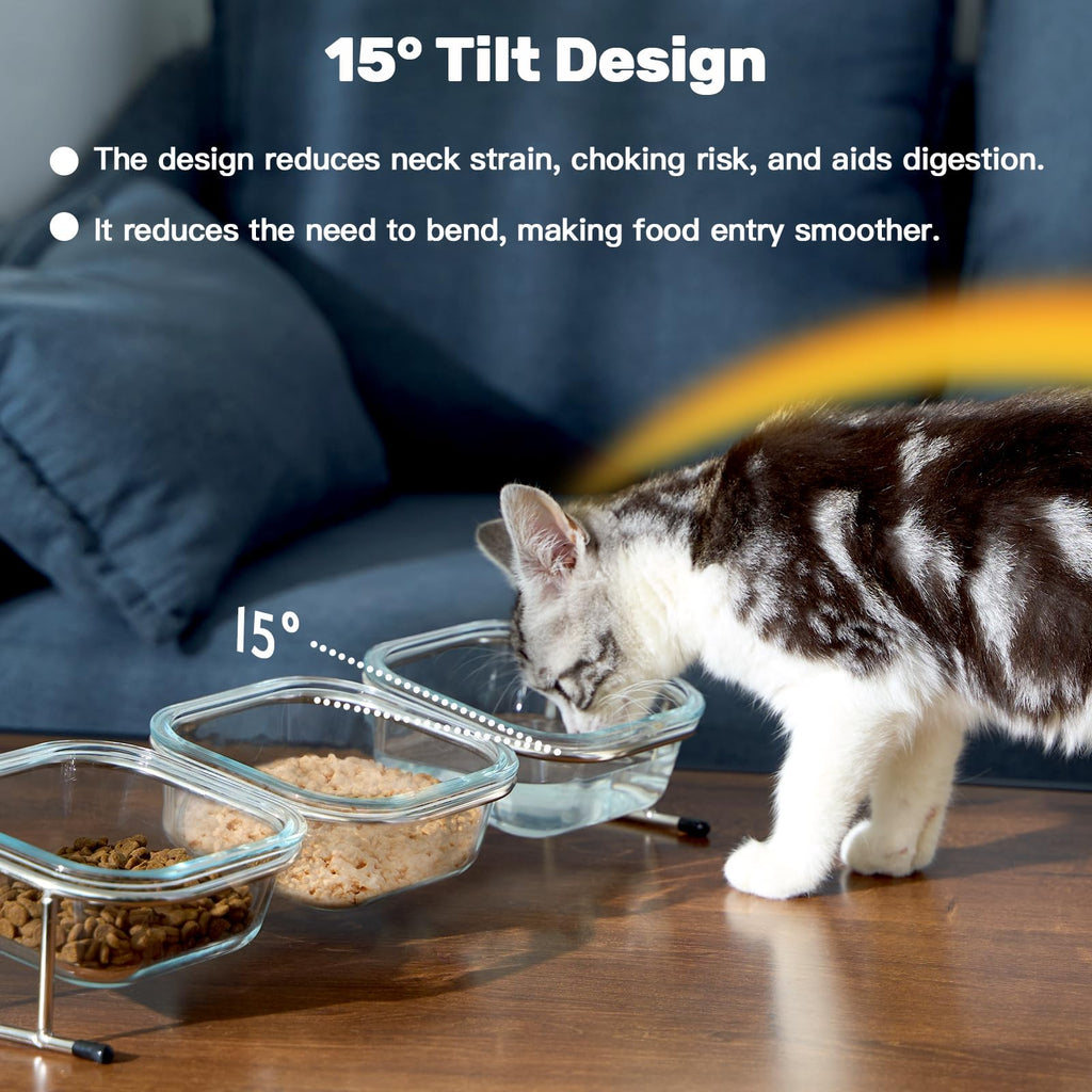 15° Tilted Glass Raised Cat Bowls X382