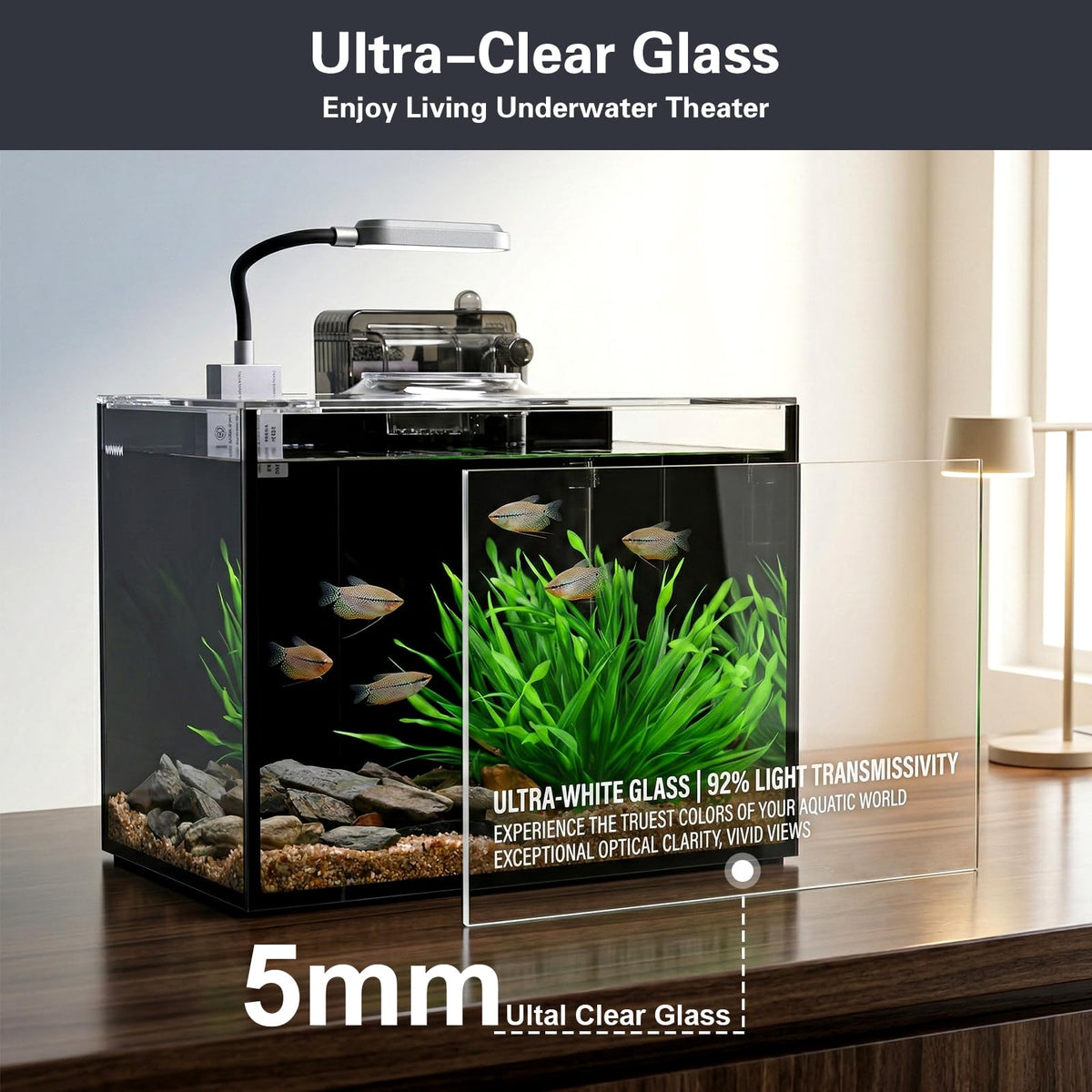 2 Gallon Glass Aquarium Set C64425