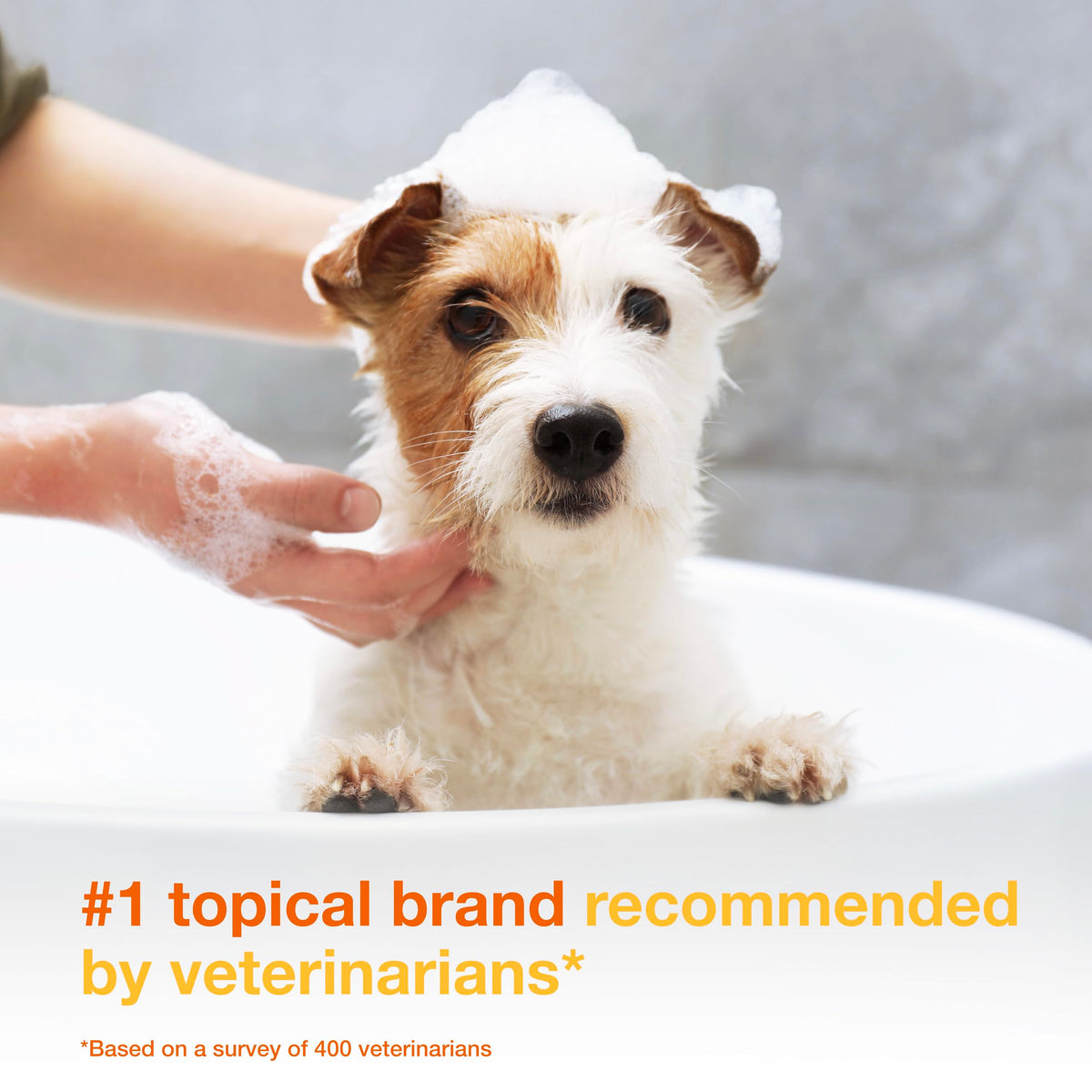 Medicated Dog Shampoo with 3% Chlorhexidine 6.7 fl oz H2725