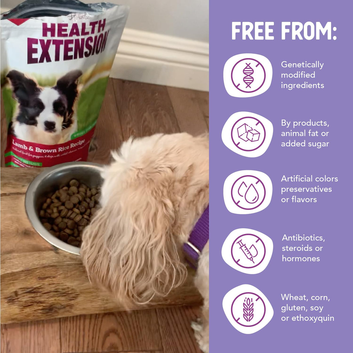 Lamb & Brown Rice Dry Dog Food with Probiotics 1 lb S97107