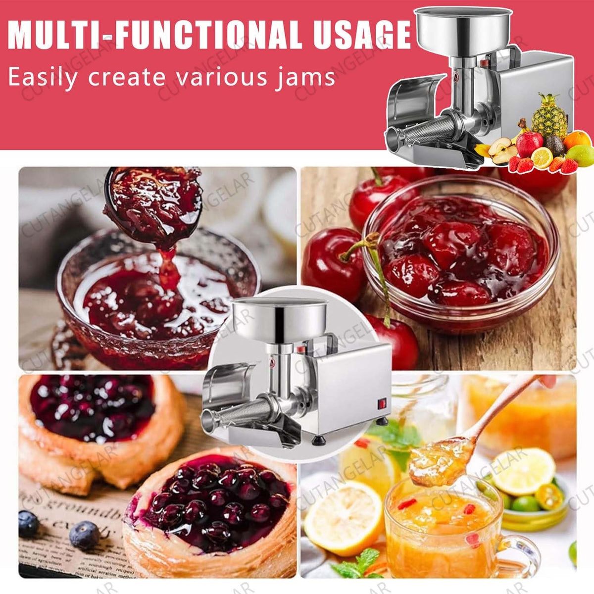 450W Stainless Steel Food Juicer T617219