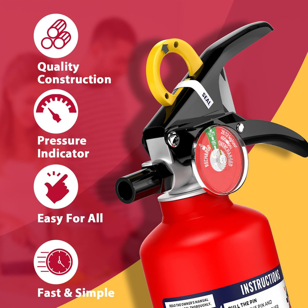 2.5 lb Dry Chemical Fire Extinguisher P23499