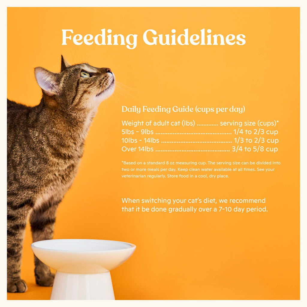 High Protein Grain-Friendly Chicken & Pumpkin Dry Cat Food J19477