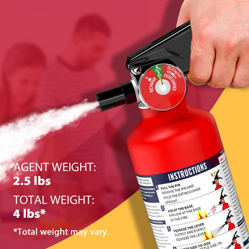 2.5 lb Dry Chemical Fire Extinguisher P23499