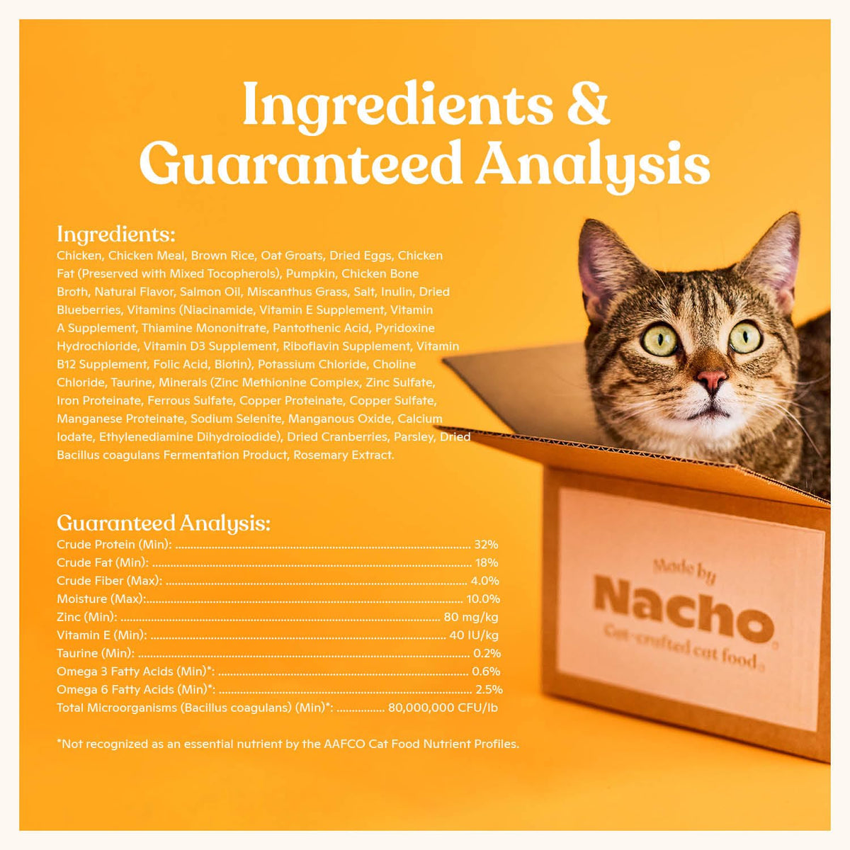 High Protein Grain-Friendly Chicken & Pumpkin Dry Cat Food J19477