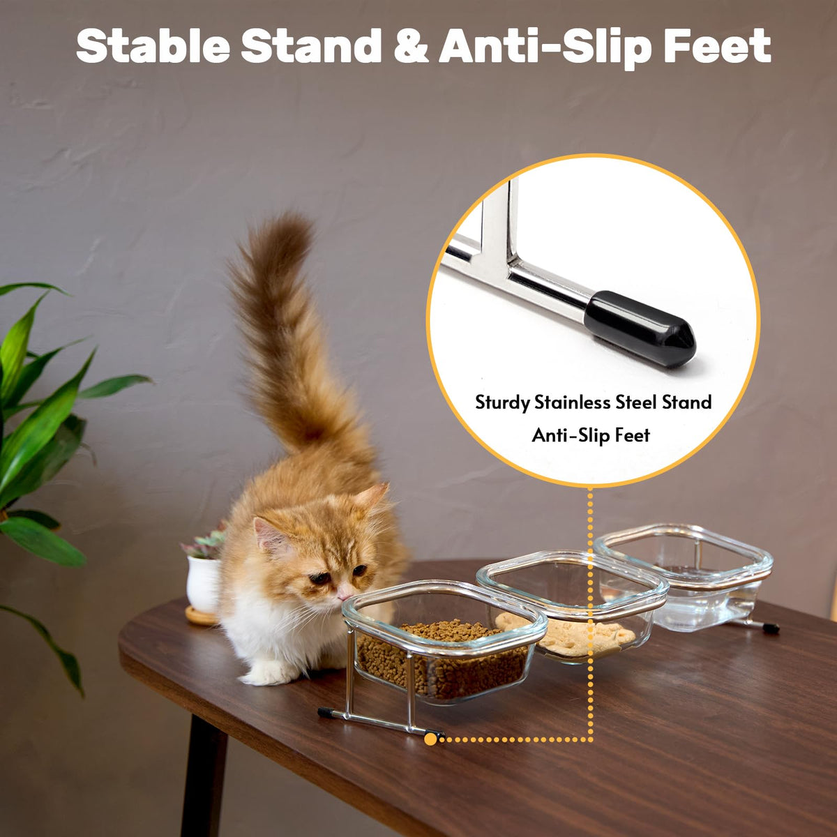 15° Tilted Glass Raised Cat Bowls X382