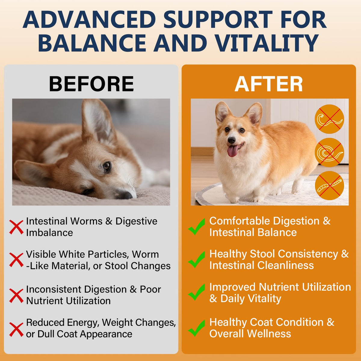 7-Way Dog Dewormer Oral Treatment 3.4 fl oz P51385