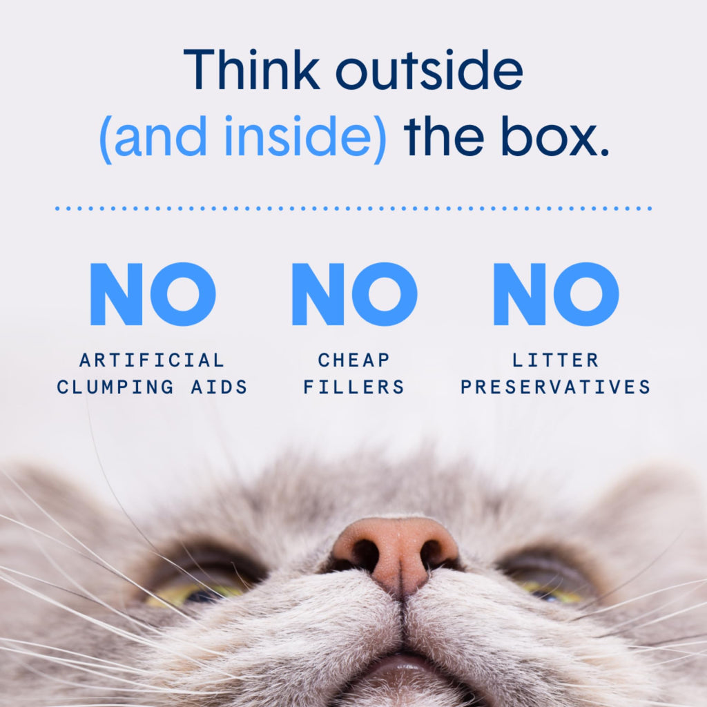 Plant-Based Clumping Cat Litter S109