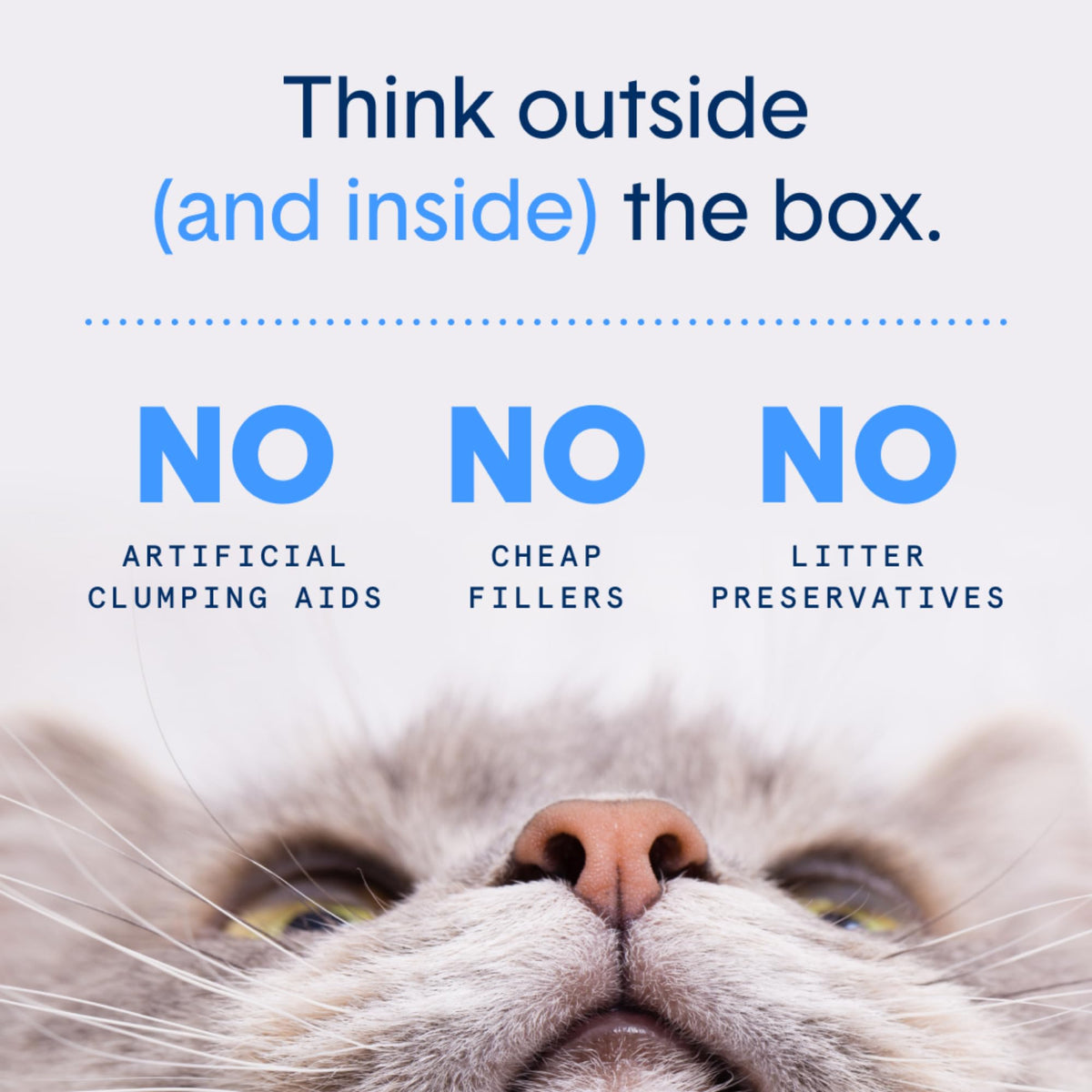 Plant-Based Clumping Cat Litter S109