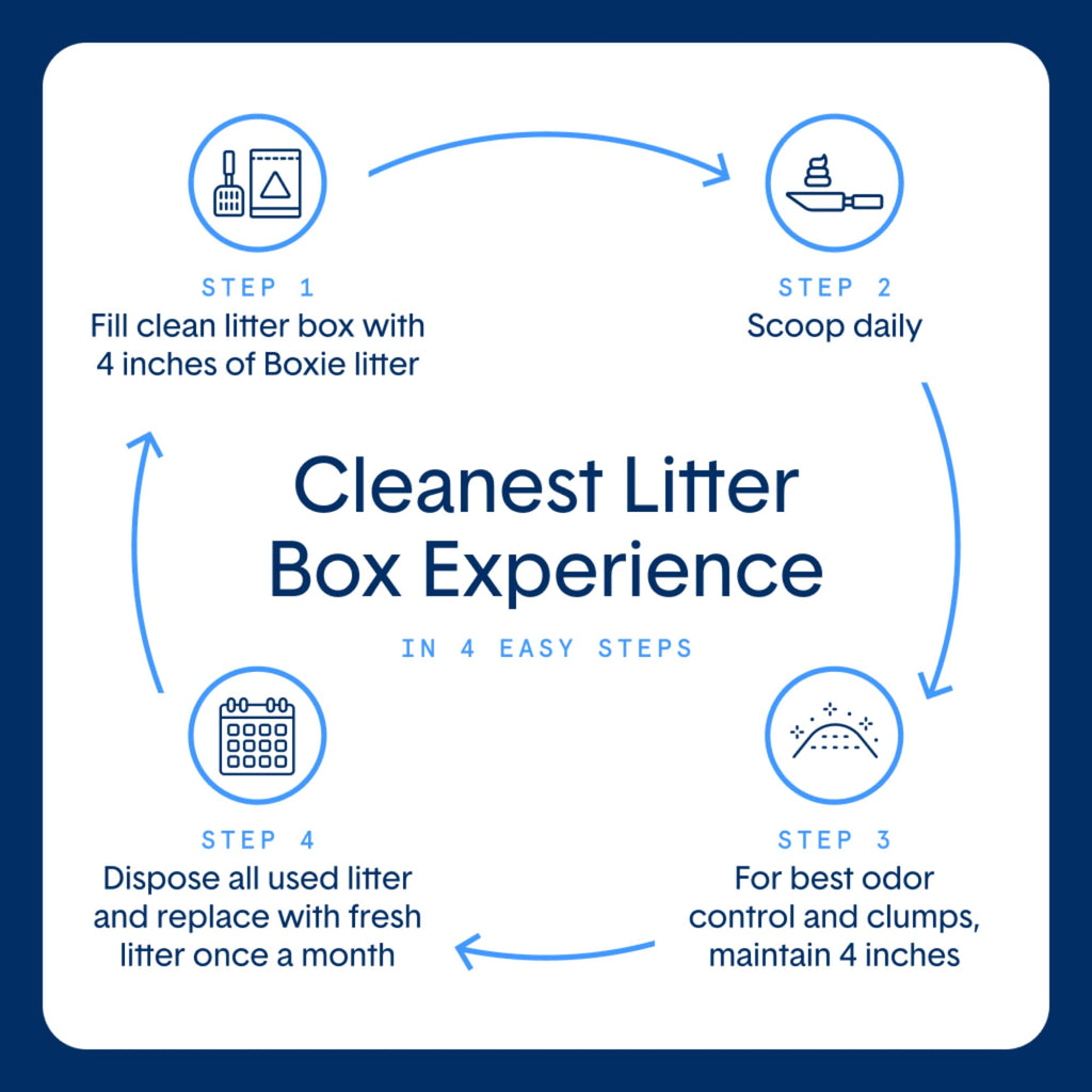 Plant-Based Clumping Cat Litter S109
