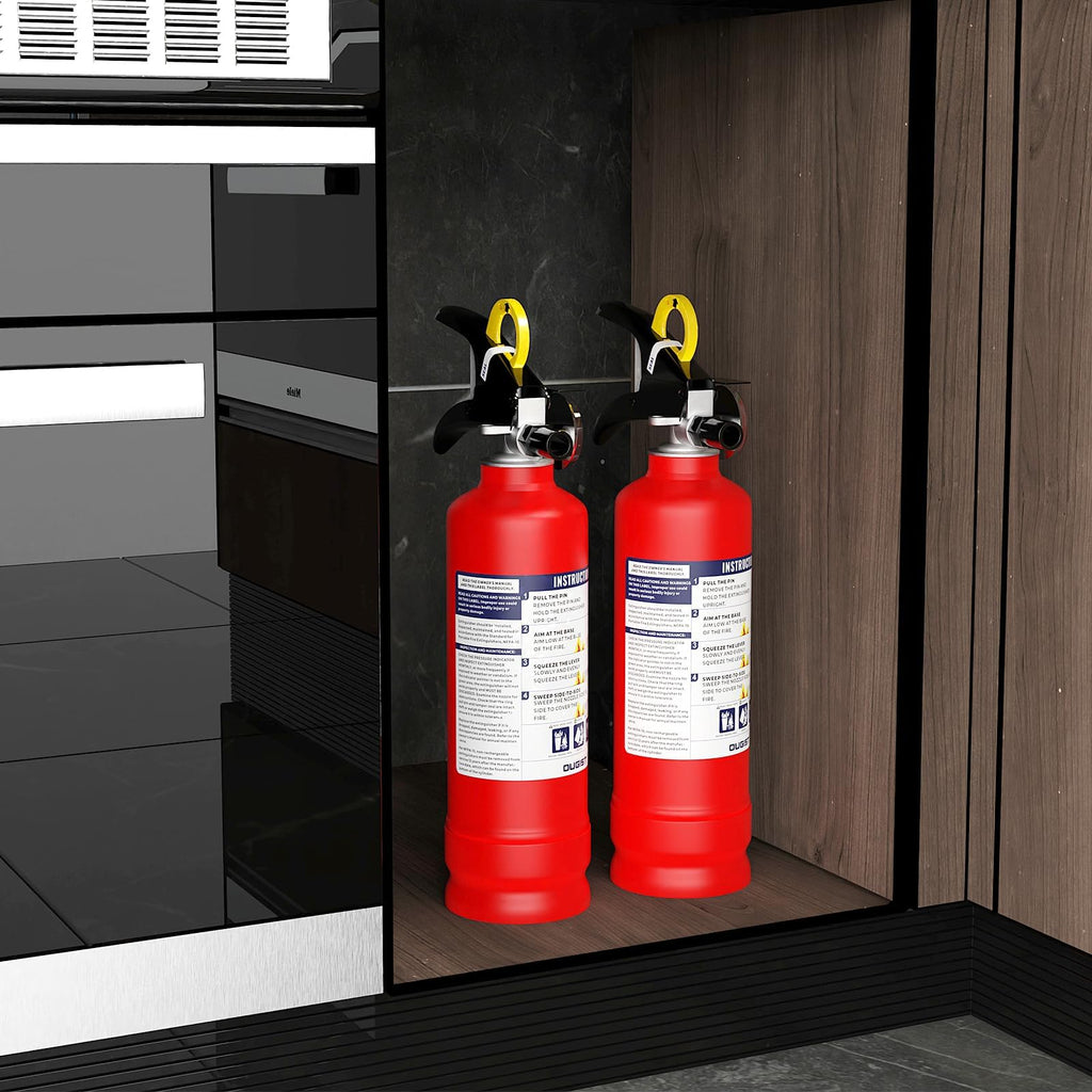 2.5 lb Dry Chemical Fire Extinguisher P23499
