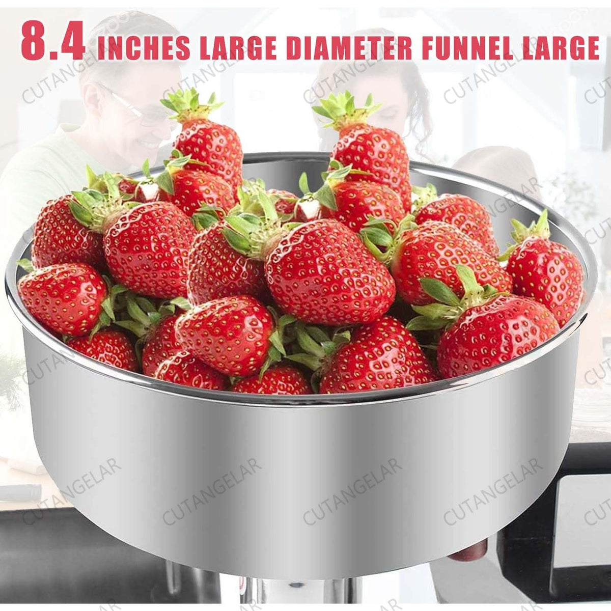 450W Stainless Steel Food Juicer T617219