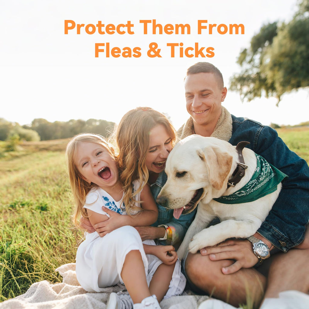 Flea and Tick Prevention for Large Dogs 3 Monthly Doses D580705