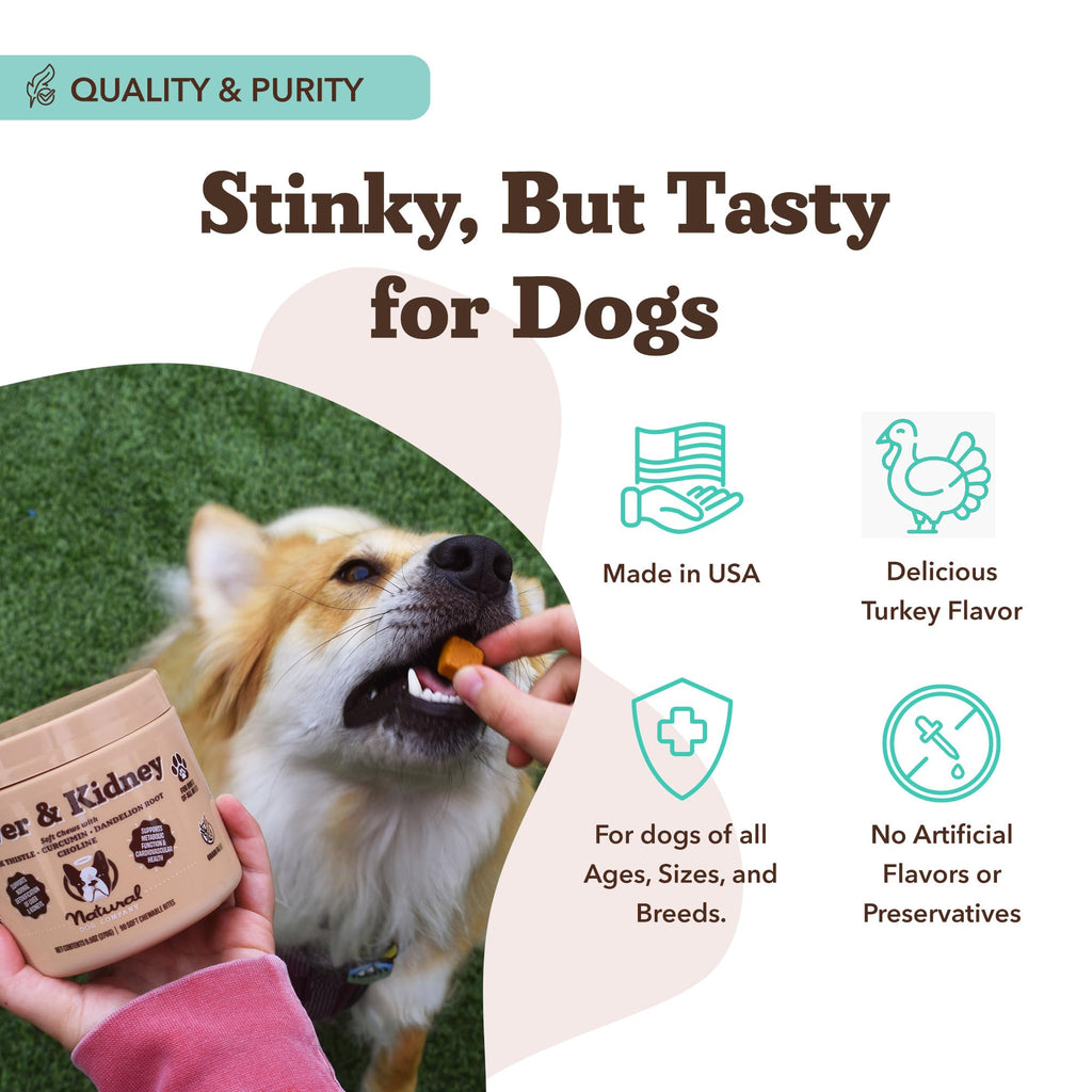 Liver & Kidney Supplement for Dogs 90 Soft Chews V21784