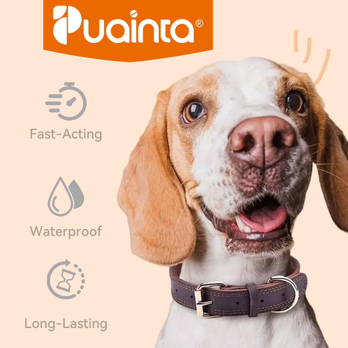 Flea and Tick Prevention for Large Dogs 3 Monthly Doses D580705
