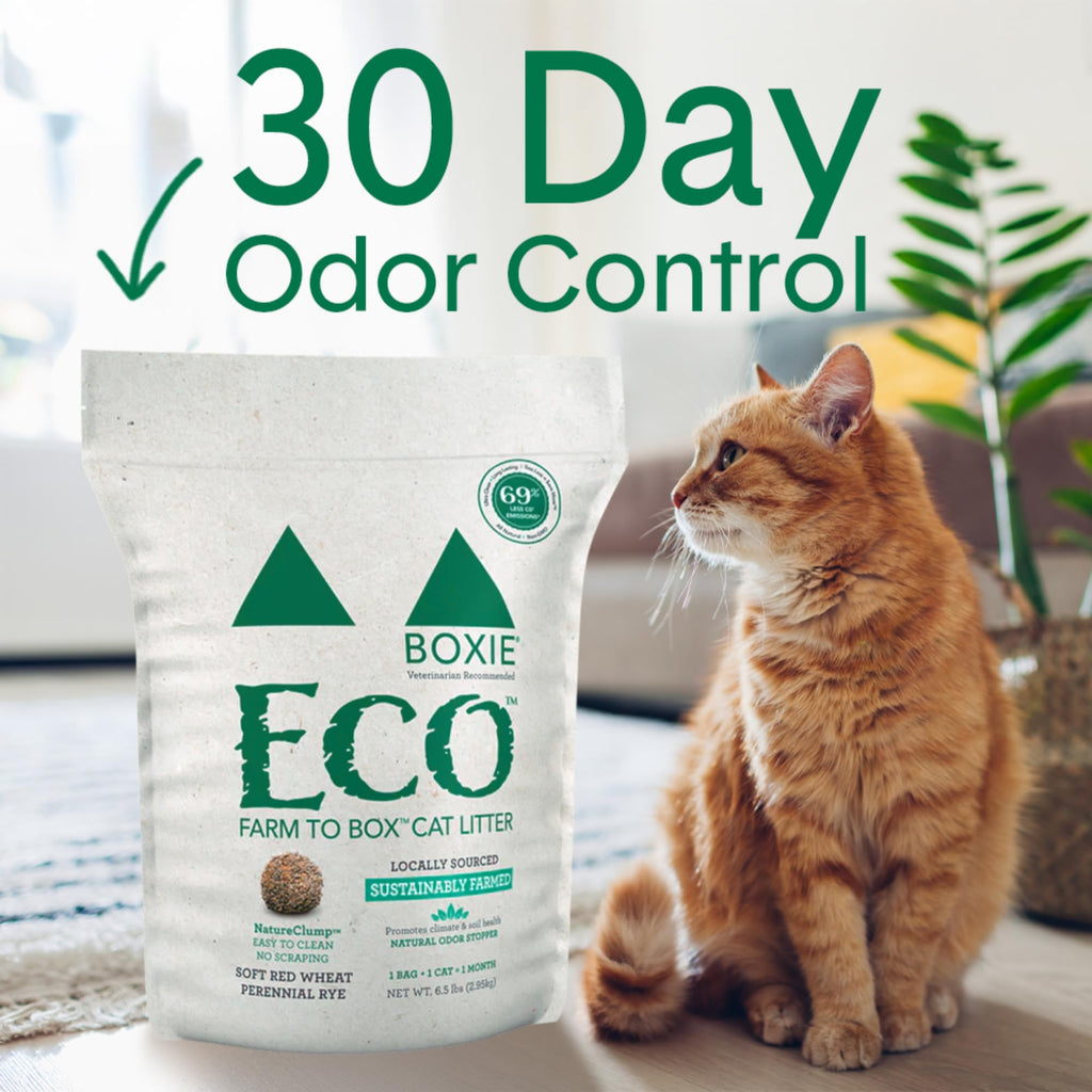 Plant-Based Clumping Cat Litter S109