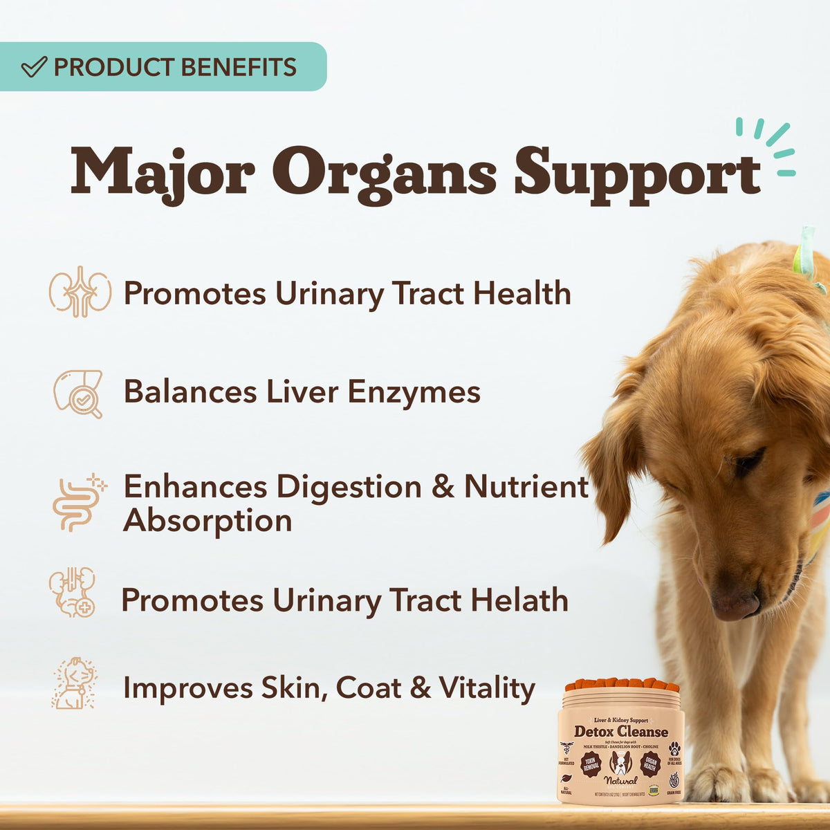 Liver & Kidney Supplement for Dogs 90 Soft Chews V21784