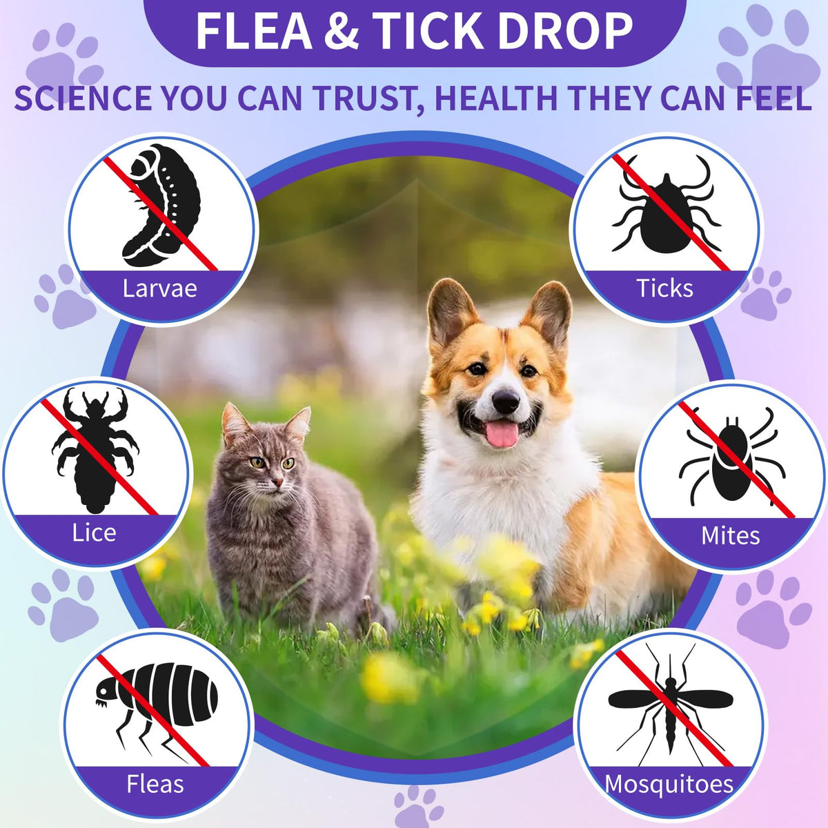 Flea and Tick Prevention for Cats & Dogs 60ml K905