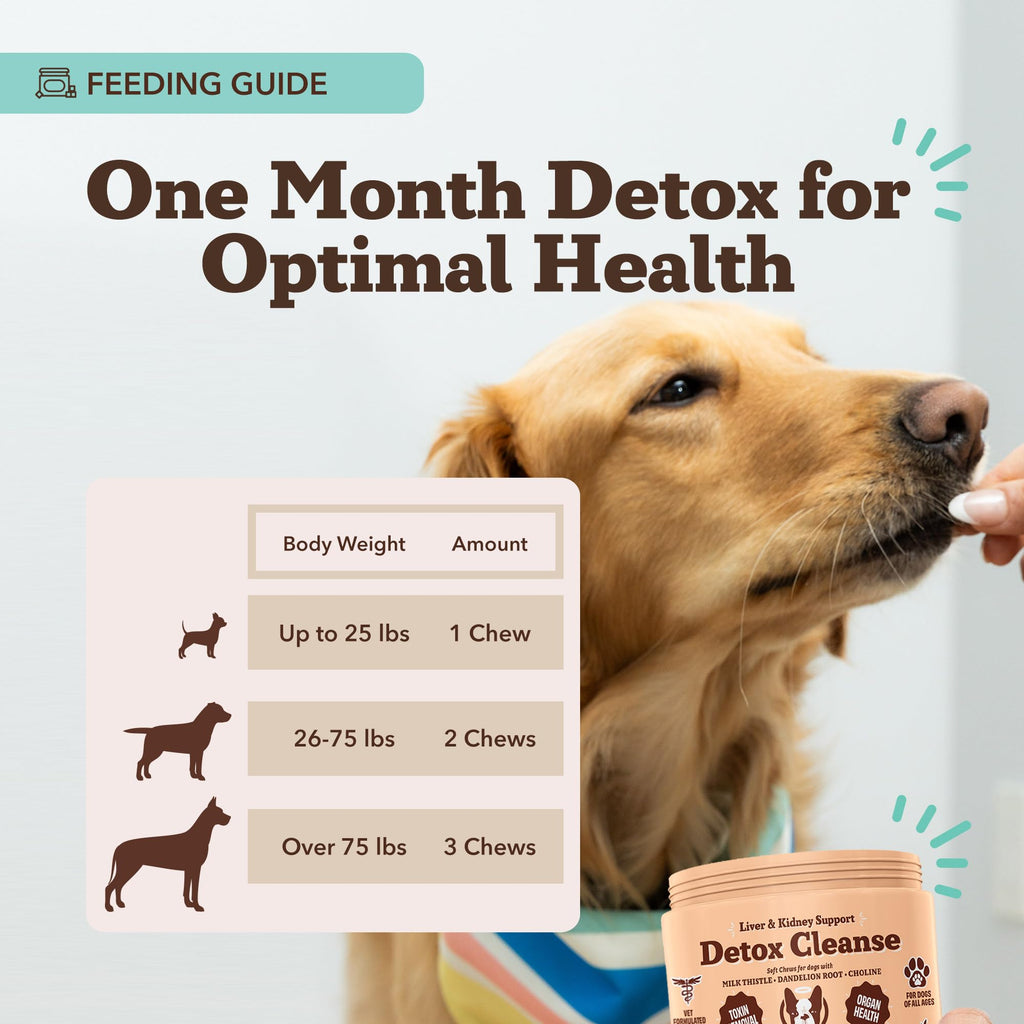 Liver & Kidney Supplement for Dogs 90 Soft Chews V21784