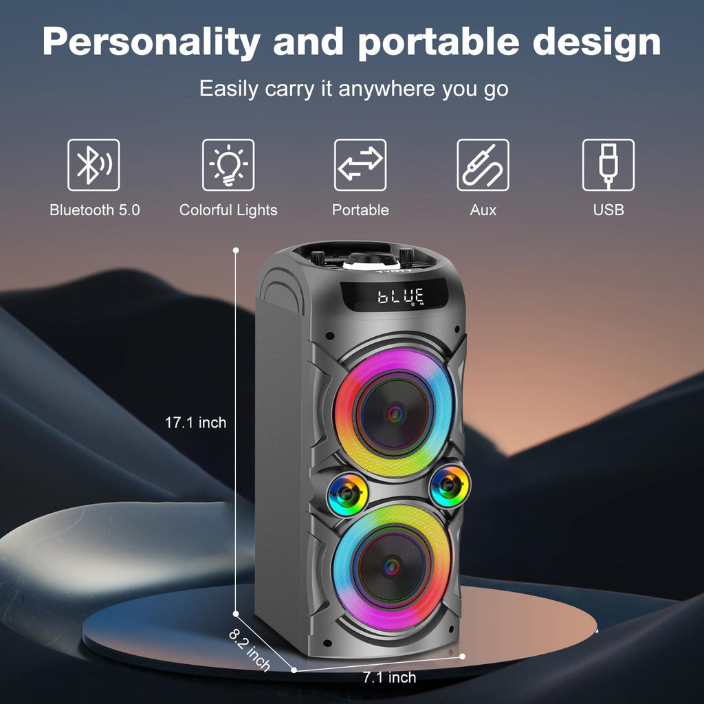 100W Portable Bluetooth Speaker Q18740