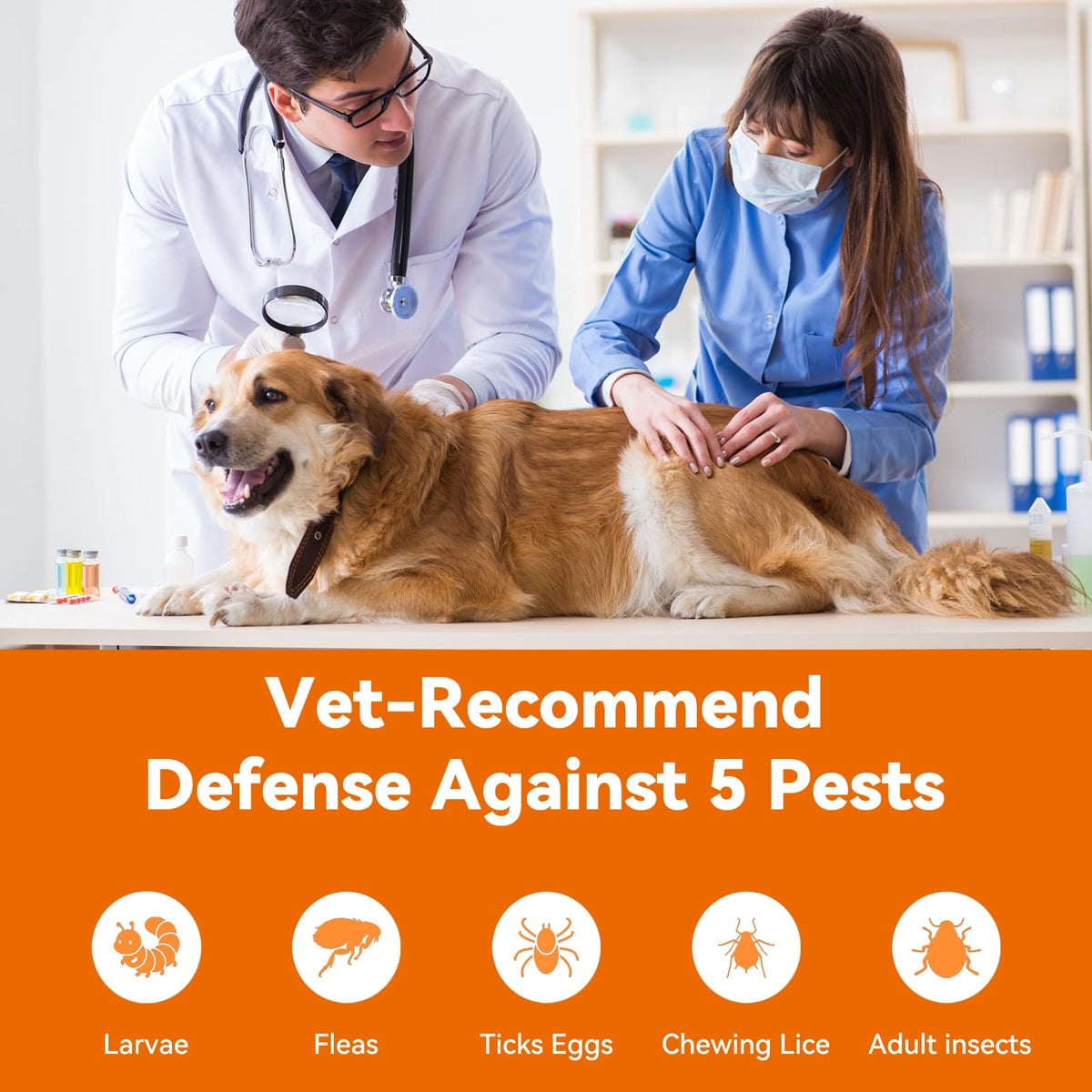 Flea and Tick Prevention for Large Dogs 3 Monthly Doses D580705