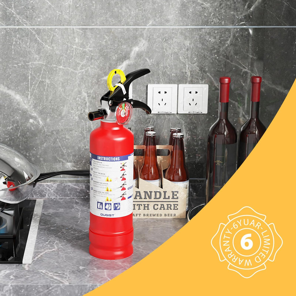 2.5 lb Dry Chemical Fire Extinguisher P23499