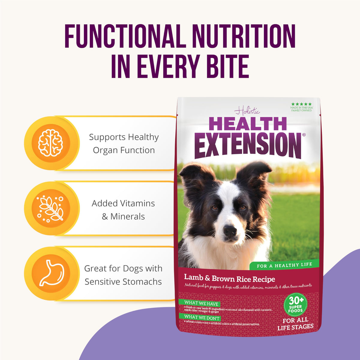 Lamb & Brown Rice Dry Dog Food with Probiotics 1 lb S97107