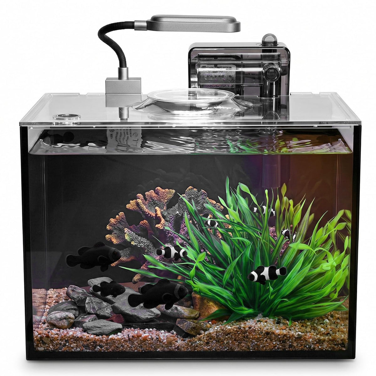 2 Gallon Glass Aquarium Set C64425