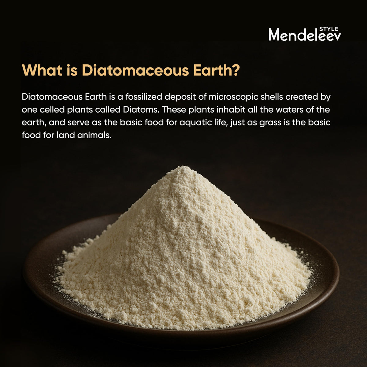 Food Grade Diatomaceous Earth I481