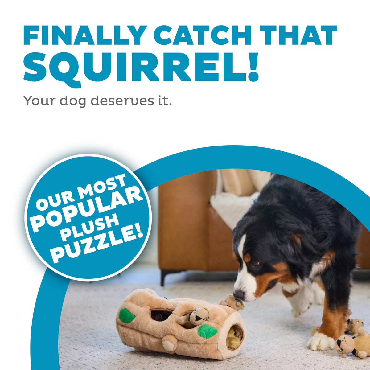 Plush Squeaky Dog Toy H2304