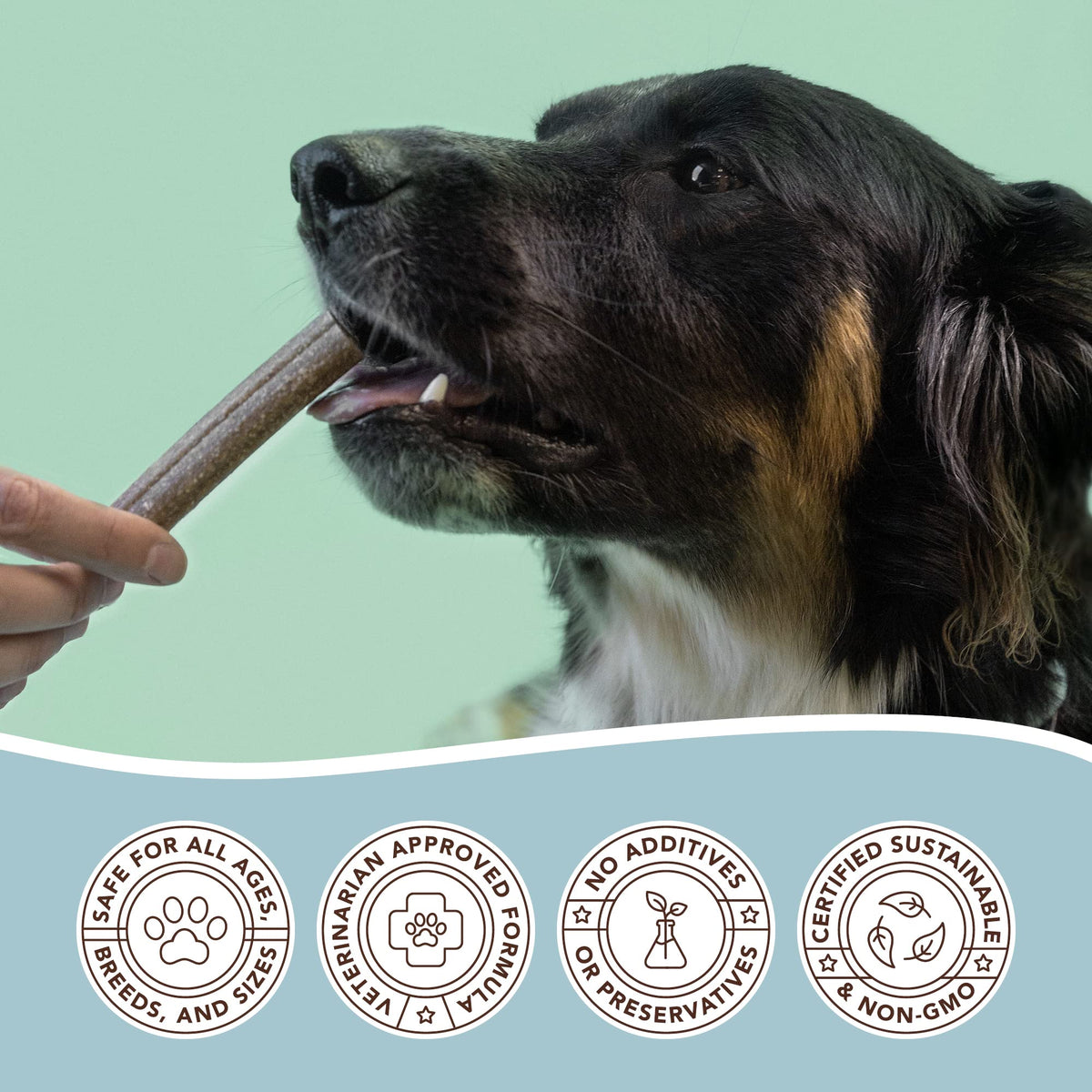 Dental Chews for Dogs 18 Count W508882