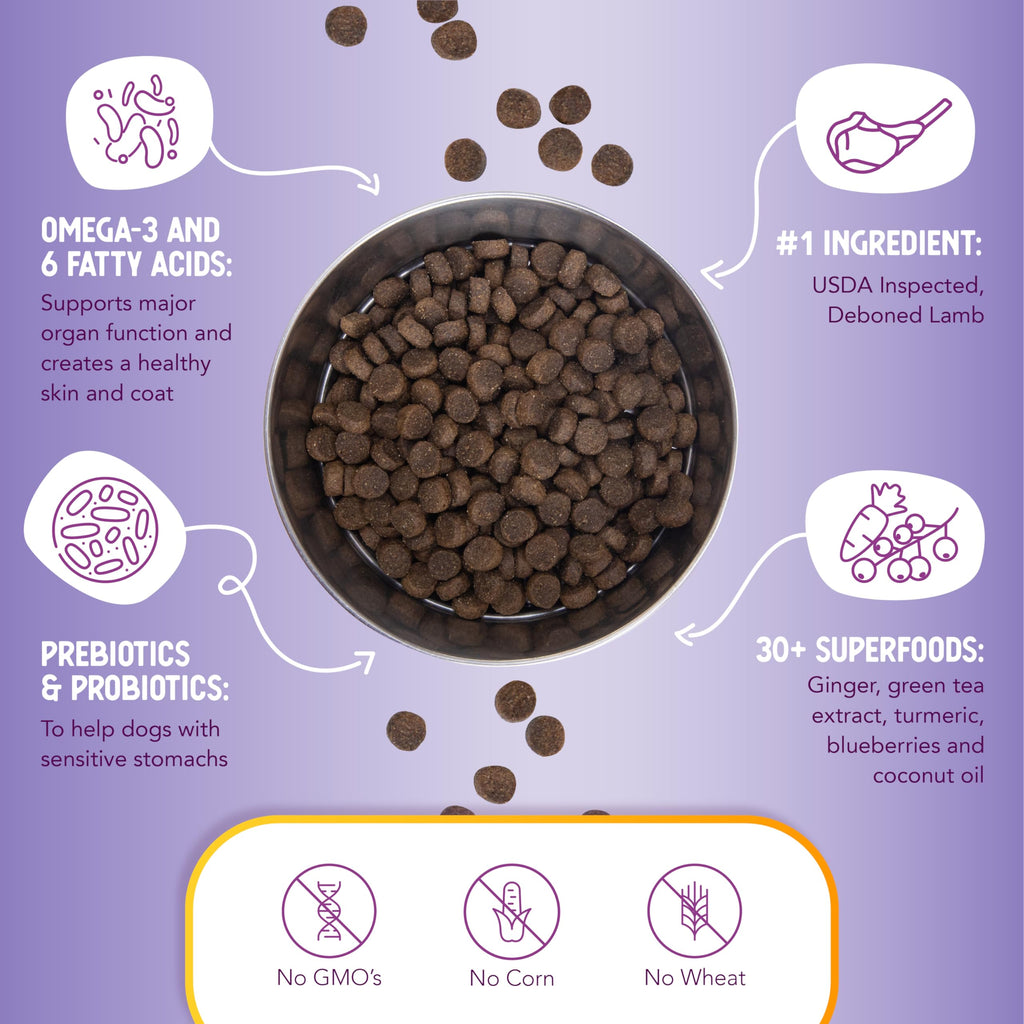 Lamb & Brown Rice Dry Dog Food with Probiotics 1 lb S97107
