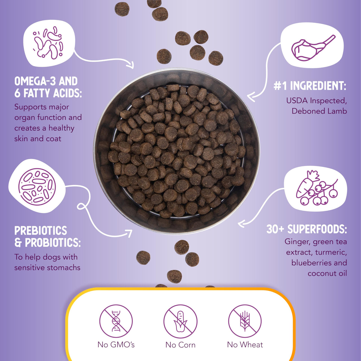 Lamb & Brown Rice Dry Dog Food with Probiotics 1 lb S97107